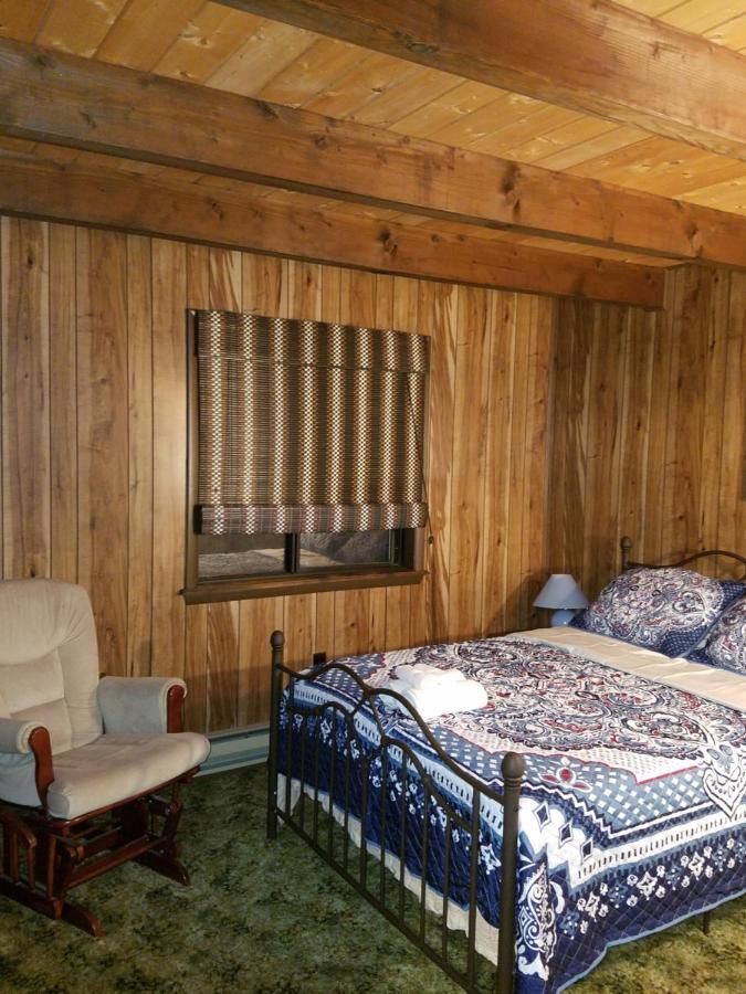 Saw Creek Cabin - Regent Hilltop Бушкилл Экстерьер фото