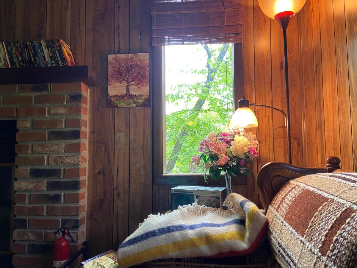 Saw Creek Cabin - Regent Hilltop Бушкилл Экстерьер фото