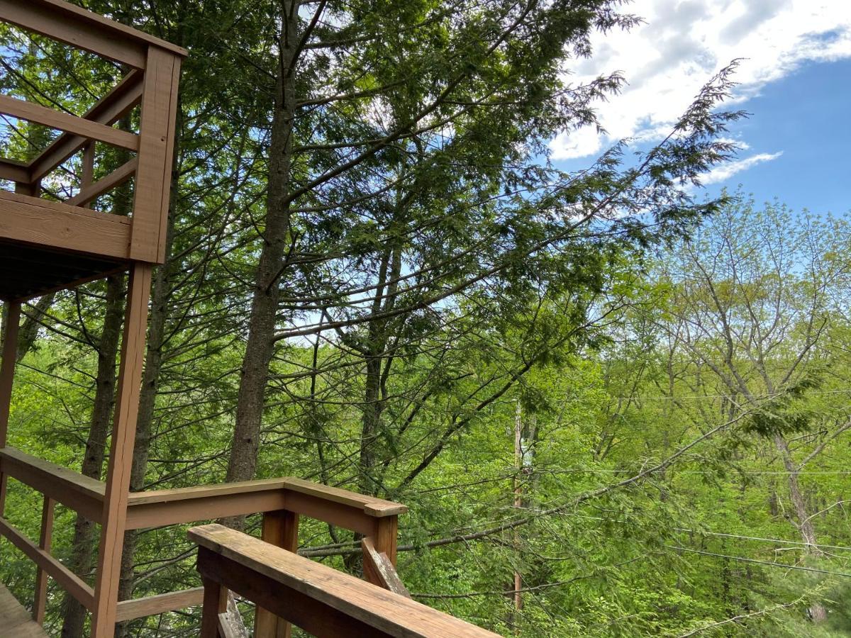 Saw Creek Cabin - Regent Hilltop Бушкилл Экстерьер фото