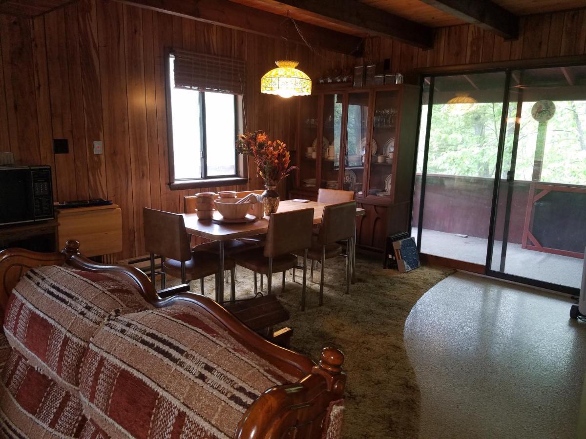 Saw Creek Cabin - Regent Hilltop Бушкилл Экстерьер фото